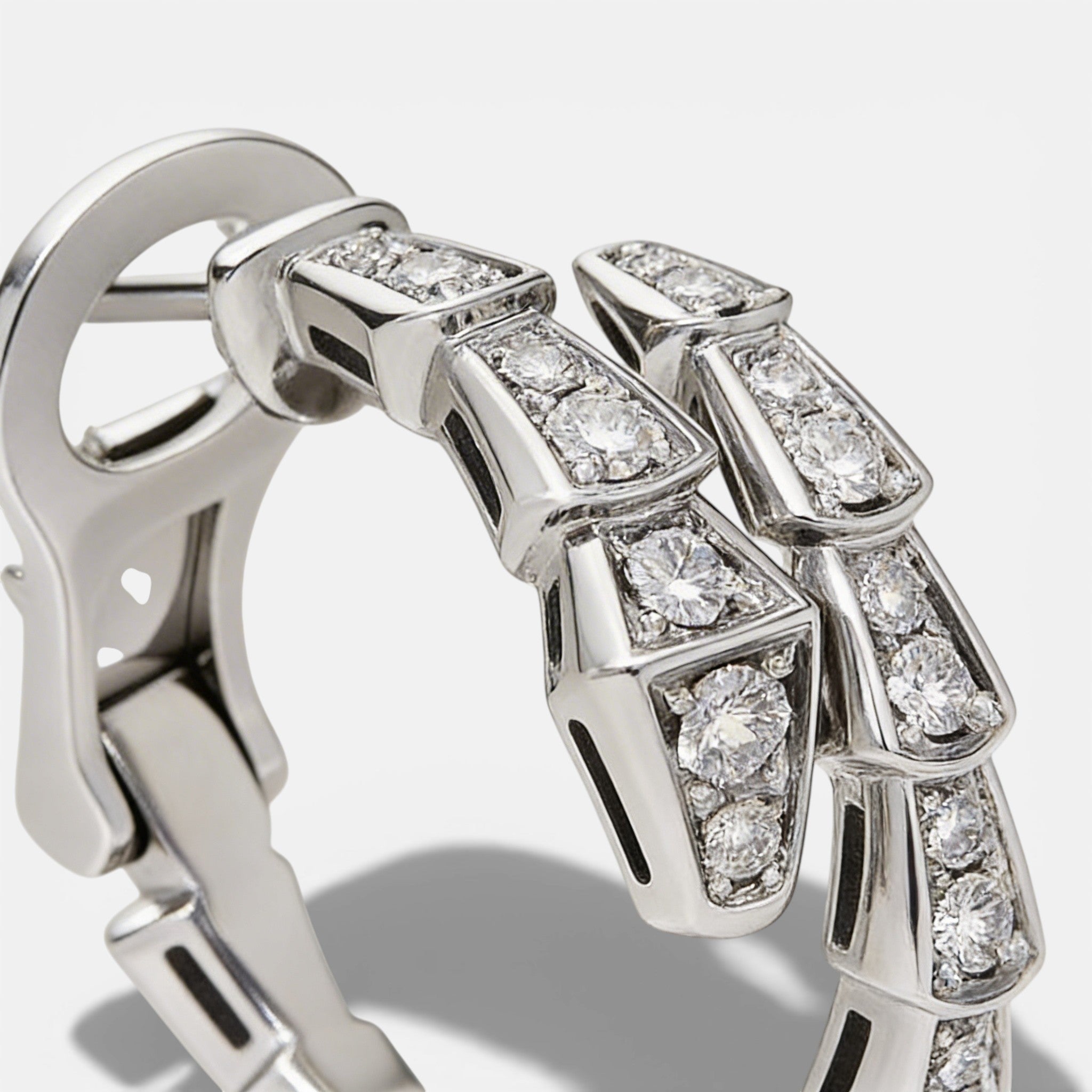 Snake Chain Zircon Earrings